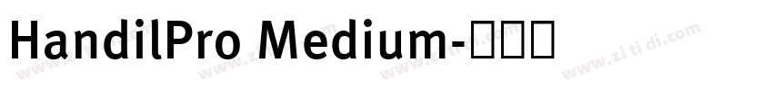 HandilPro Medium字体转换